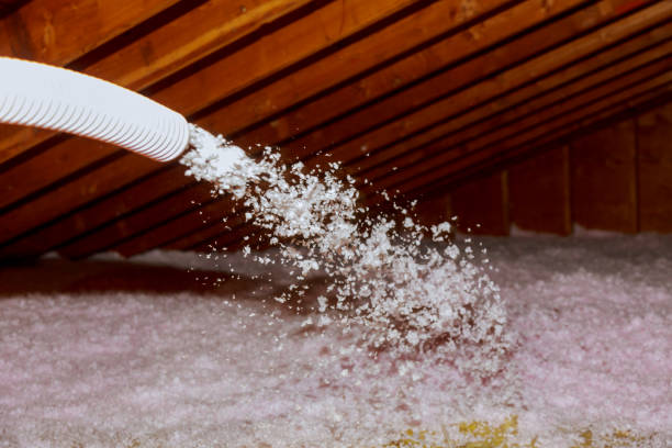 Best Types of Insulation in Pelican Rapids, MN