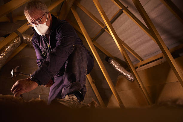  Pelican Rapids, MN Insulation Contractor Pros